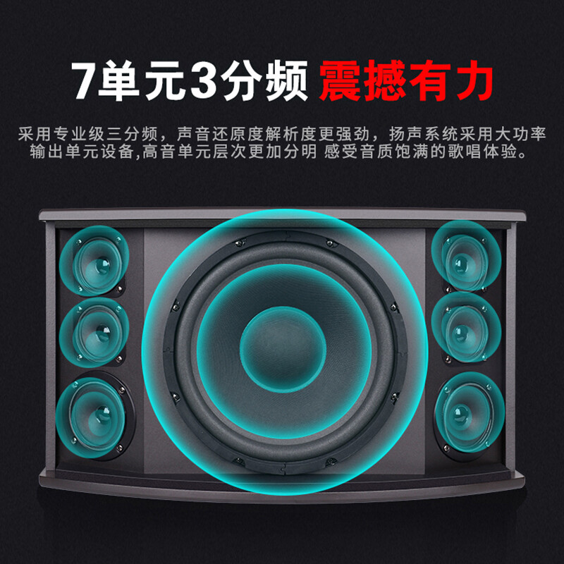 先科A80V家庭KTV音响套装 开启您的家庭娱乐新篇章